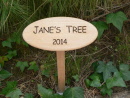 janes tree2
