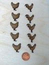 chickens and rooster pack