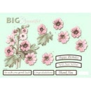 line560 big floral