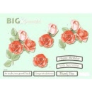 line563big floral