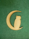 moon owl